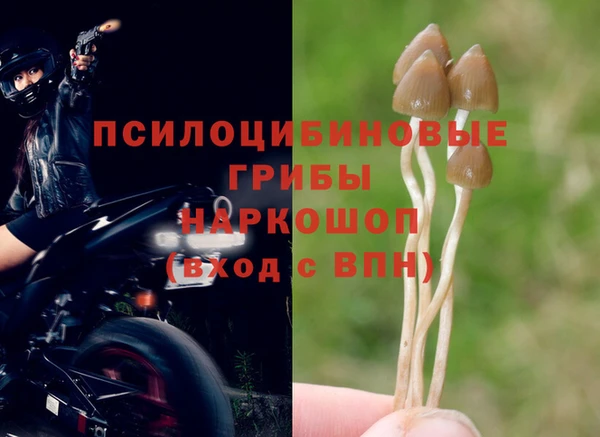 мяу мяу мука Михайловка