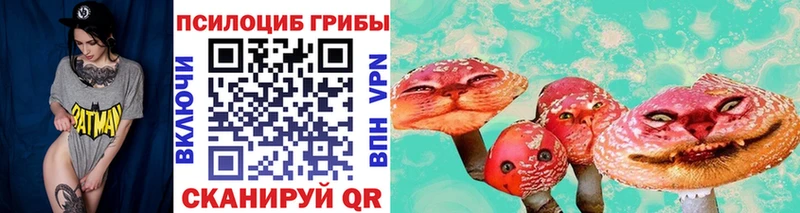 это клад Зарайск Галлюциногенные грибы Magic Shrooms OMG онион